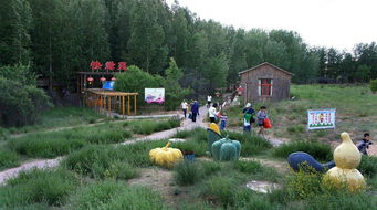 九城宮生態園圖冊