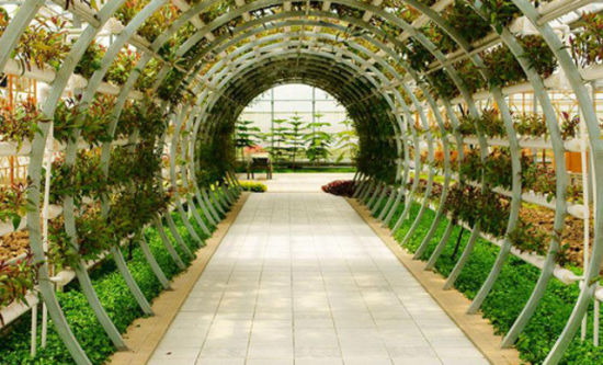 國鴻生態(tài)園 南昌市郊的放松休閑勝地(2)