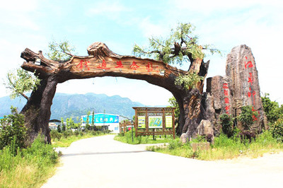 生態(tài)園大門_假樹大門設計原則