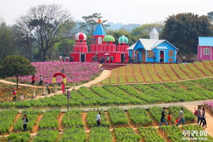 東莞松湖生態(tài)園團隊旅游休閑度假田園生活戶外農家樂