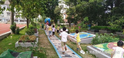 東暉實驗學校2020 2021學年新生網上報名