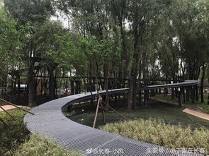 長春水文化生態(tài)園 預計十一前開放