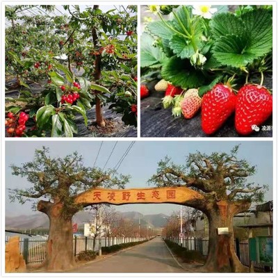 生態(tài)園——都市中的綠洲