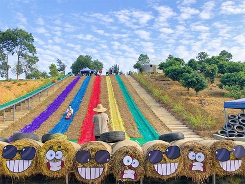 鳳崗農(nóng)業(yè)生態(tài)園 省級(jí)休閑農(nóng)業(yè)與鄉(xiāng)村旅游示范點(diǎn)的璀璨明珠