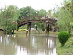 昆山生態(tài)園的木橋 連接自然與人文的詩(shī)意紐帶